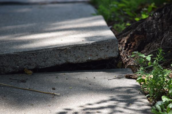 Cost of Sidewalk Leveling in Cape Coral